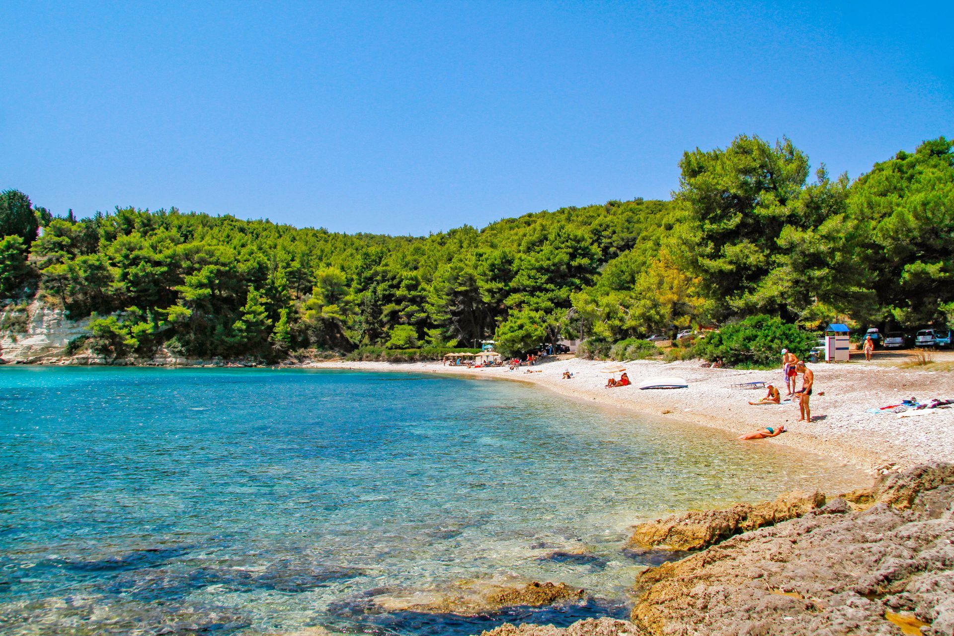 Alonissos Greece: Milia Beach and the pine forest behind